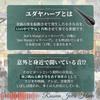 SALUDABLE Jew's Harp (Russian, Jewish, Jew's Harp, Jew's Harp) - Beginner-friendly, Ethnic Music
