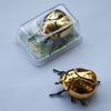 1 Pezzo Scarabeo Giocattolo Animale di Plastica per Bambini Scarabeo a Molla Giocattoli Bionici Giocattolo Scherzoso Creativo Modello di Insetto Animato