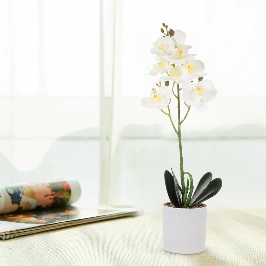 Simulated Artificial Phalaenopsis Orchid in Pot Realistic Fake Potted Plant Decor for Home Office Living Room Bedroom Kitchen
