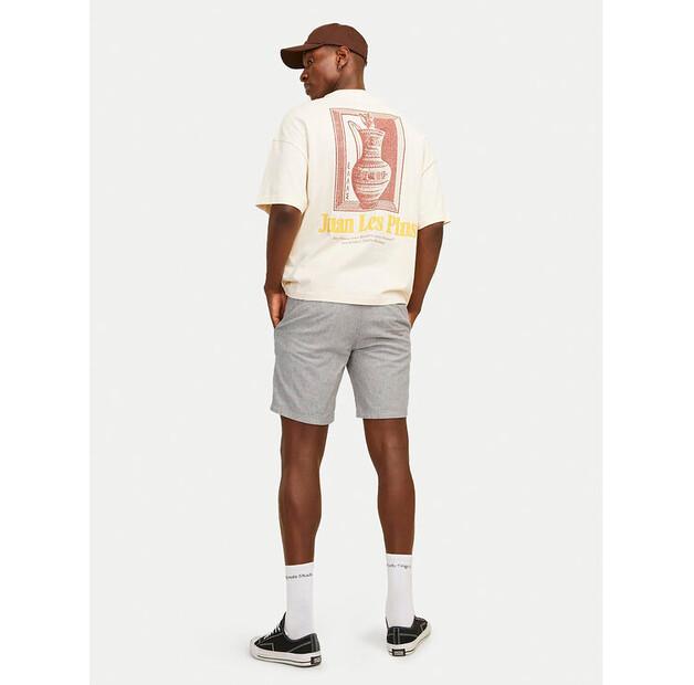 Шорты Jack & Jones Jpstdave