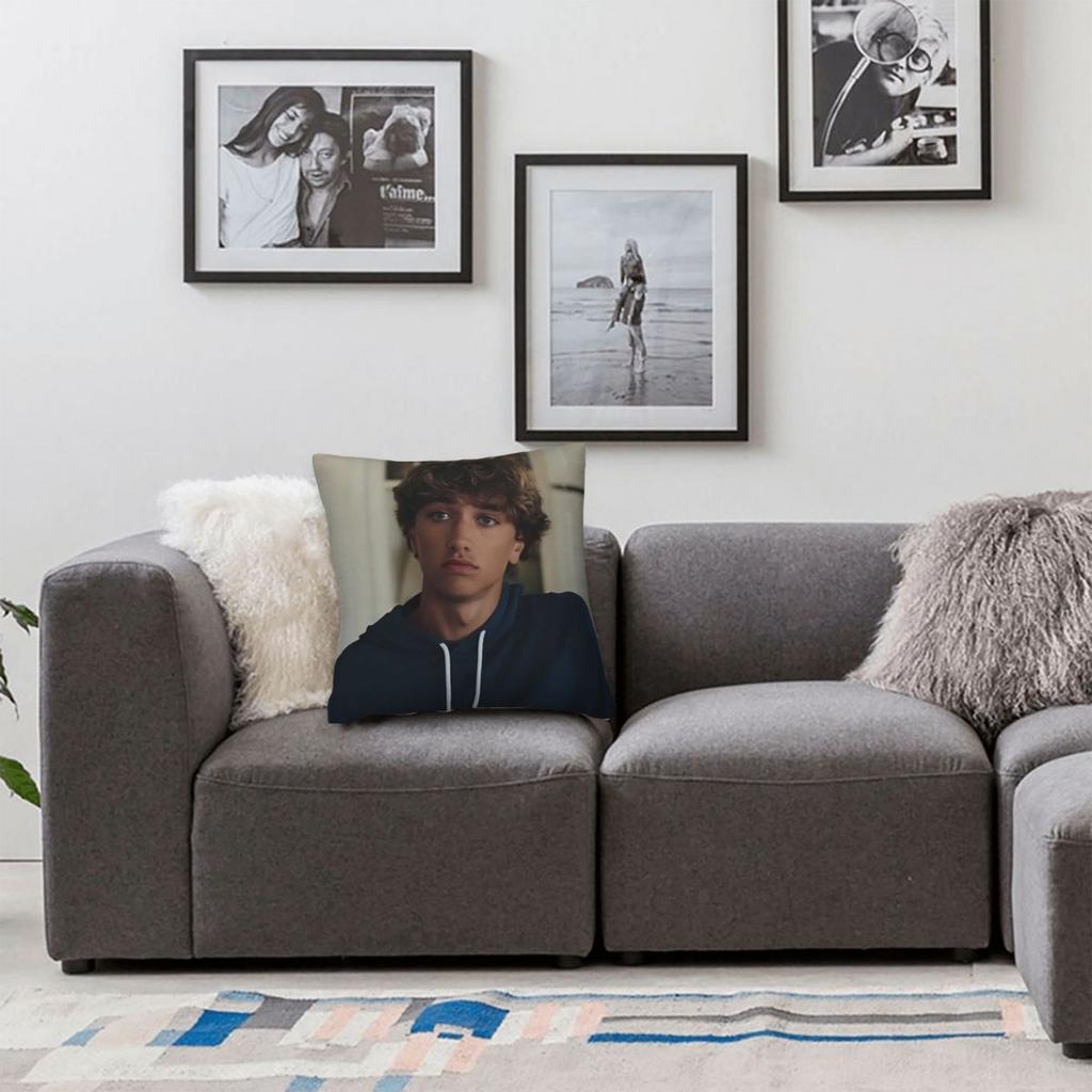 Jeremiah Fisher The Summer I Turned Pretty Kissenbezug Kissenhülle Kissenbezug Neuheit Kissenbezüge Für Sofa Zuhause Dekorativ