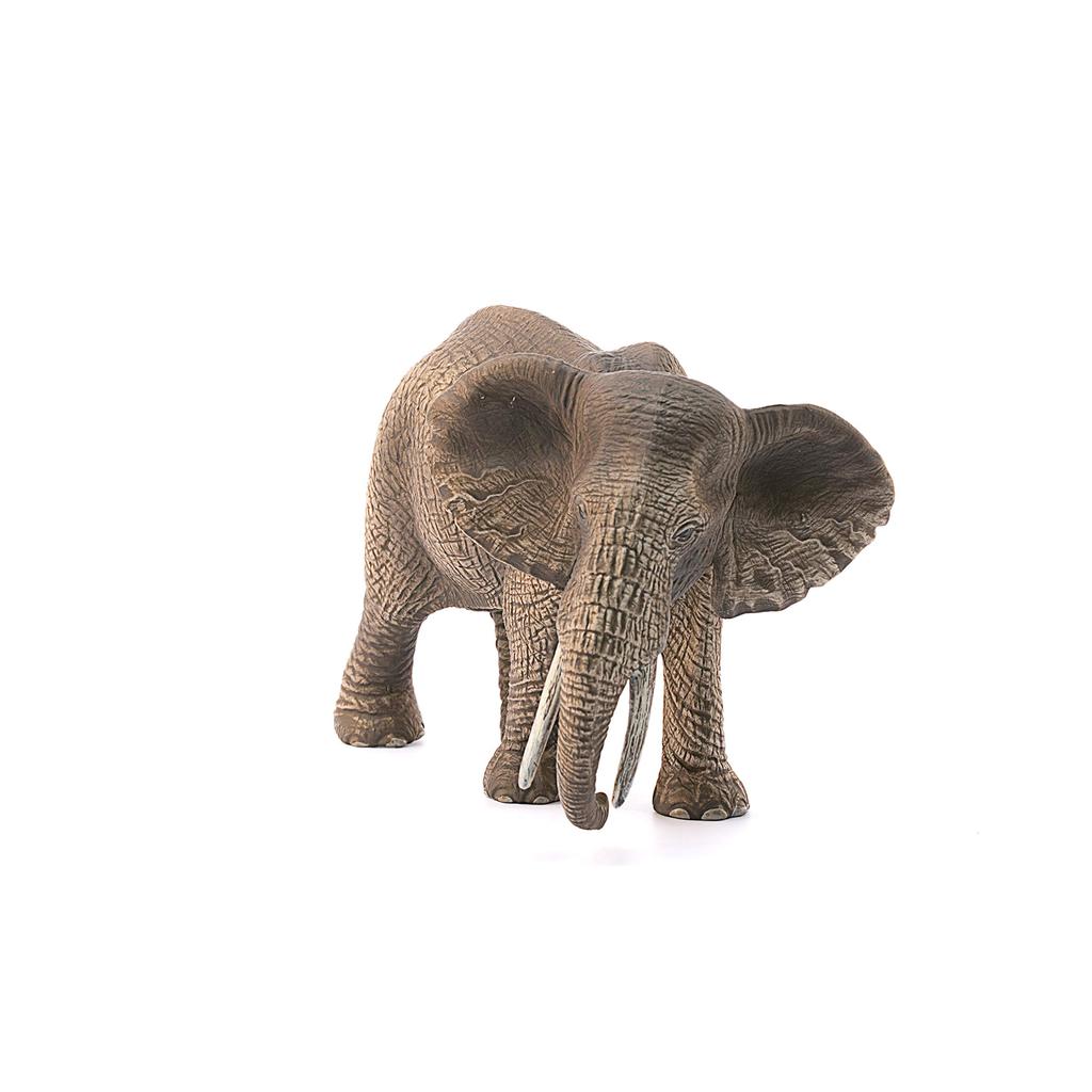 Schleich Wildlife African Elephant 14761N (Female)