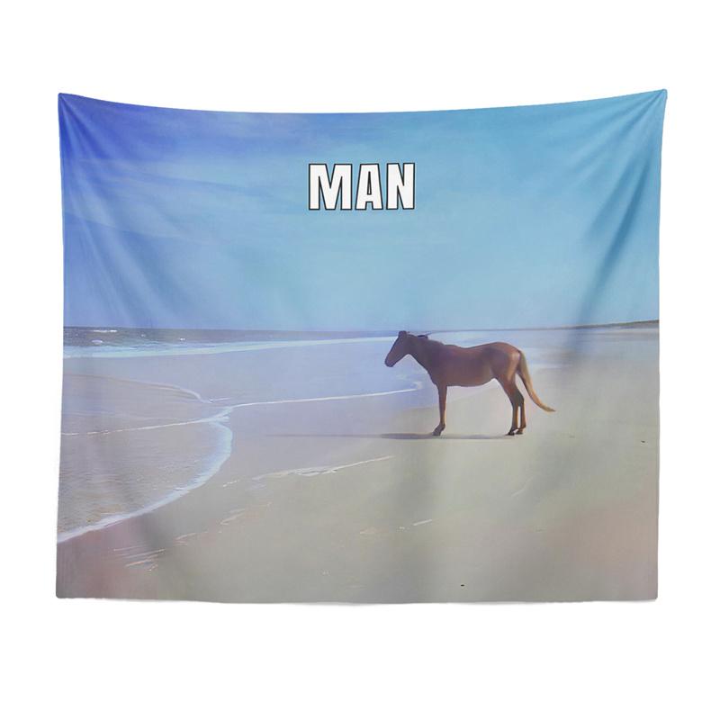

Aertemisi Man Horse on Beach Meme Tapestry Wall Hanging Art for Bedroom Living Room College Dorm Party Backdrop Home Room Decor 74x94cm(29x37in)