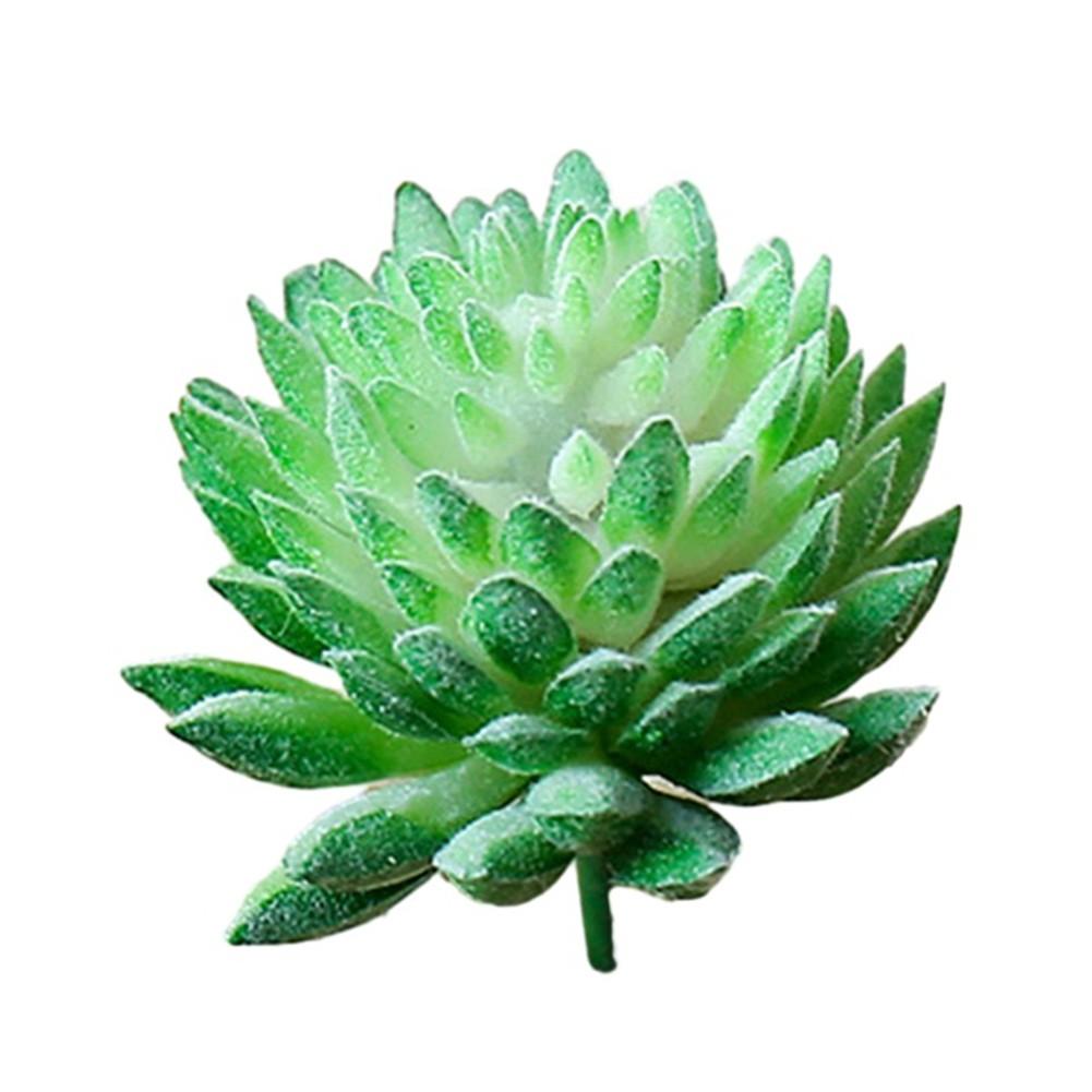 

Искусственный Суккулент Искусственный Декор Мини Реалистичный зелёный