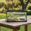 Spotted Gecko Enclosure Anti-Prevent Exit Design Panoramic Glass Enclosure Transparent Arachnid Enclosure Sturdy Construction