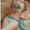 Ancient Style Sheer Snowflake Gauze Lingerie Set - Hanfu Cosplay Sexy Belly Dance Top