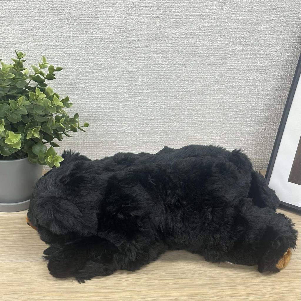 Cute Sales Plush Toy, Black Bear, Size L, Z0383
