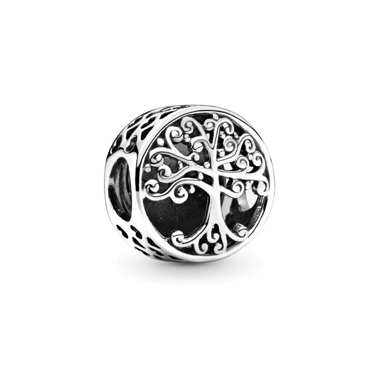 Pandora Family Source Charm Women Jewelry 797590 Silver
