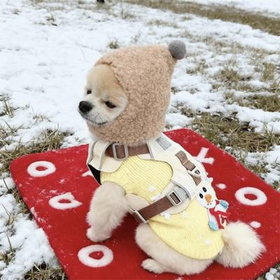 Oblečky a obuv – Čepice pro psy