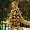 Fruit Shell Bells Outdoor Wind Chimes Hand Cranked String Bell Sound Healing Wind Chime Meditation Yoga Musical Instruments