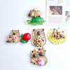 Large Glossy Turtle Resin Accessories: DIY Phone Case, Hair Clip, Fridge Sticker, Keychain, Pendant