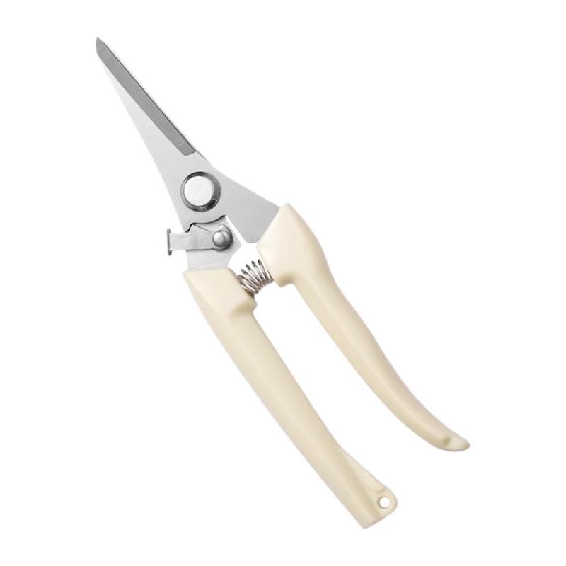 Stainless Steel Garden Pruning Shears for Fruit, Flowers, Branches, and Orchards