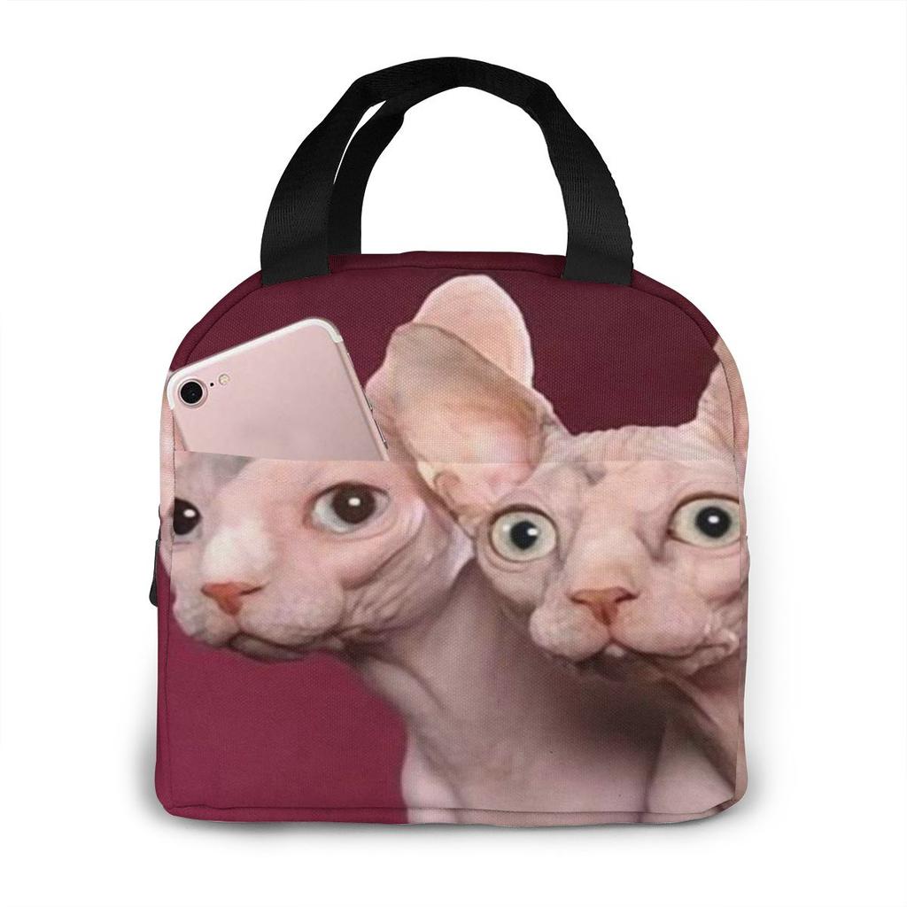 Insulated Lunch Bag Thermal Funny Cartoon Cats Tote Bags Cooler Picnic Food Lunch Box Bag For Kids Women Girls Men Children