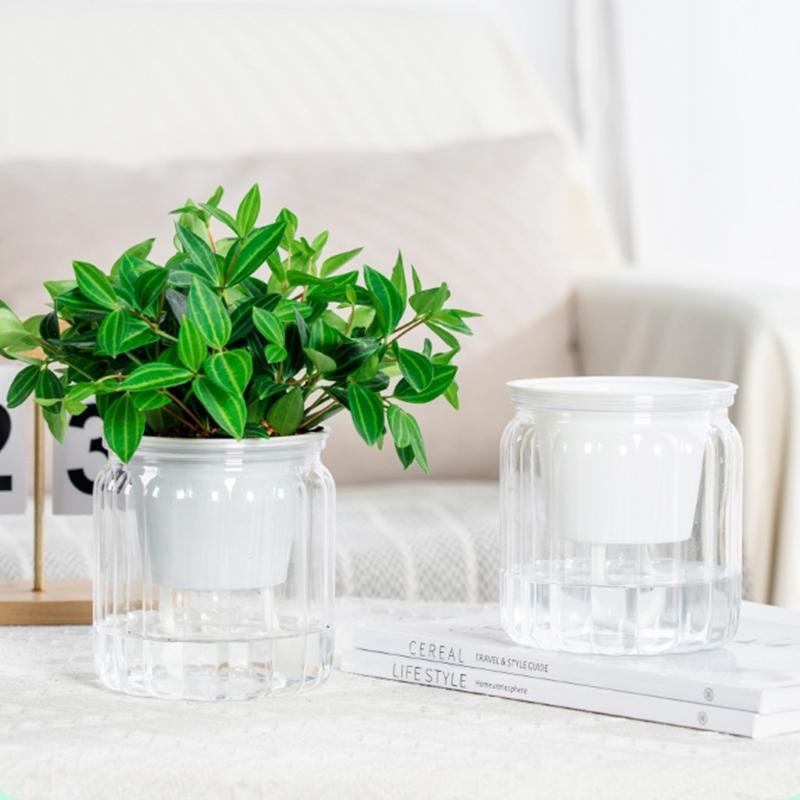 Eleganckie Półprzezroczyste Hydroponiczne Doniczki Ogrodowe z Efektywną Kontrolą Wilgoci Odpowiednie dla Sukulentów Bonsai