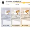 2024 Nordic Ceiling Fan Light: Variable Frequency for Bedrooms & Children's Room