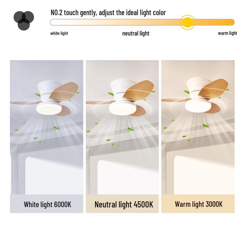2024 Nordic Ceiling Fan Light: Variable Frequency for Bedrooms & Children's Room