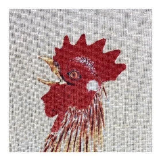 Ito Jakuchu "Rising Sun Rooster" Ukiyo-e Tenugui (Japanese Hand Towel) - Approx. 90x35cm, Made in Japan, 100% Cotton Tokka, Reactive Dye Nassen Print