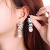 Nadel Leichter Luxus Blatt Voll Diamant Perlenohrringe Leicht Eingelegter Zirkon High-End Temperament Ohrringe Ohrringe