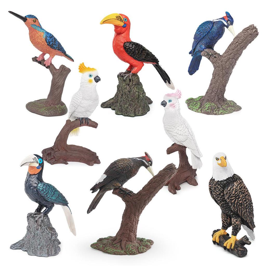 Cross-border Bird Model Toys: Kingfisher, Eagle, Woodpecker, Parrot, Toucan - Enhancing Children's Cognitive Skills