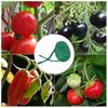 1 Roll Plant Ties Convenient Flexible Tear Resistant Acrylic Fiber Garden Twist Ties Cable Organizer Yard Supply