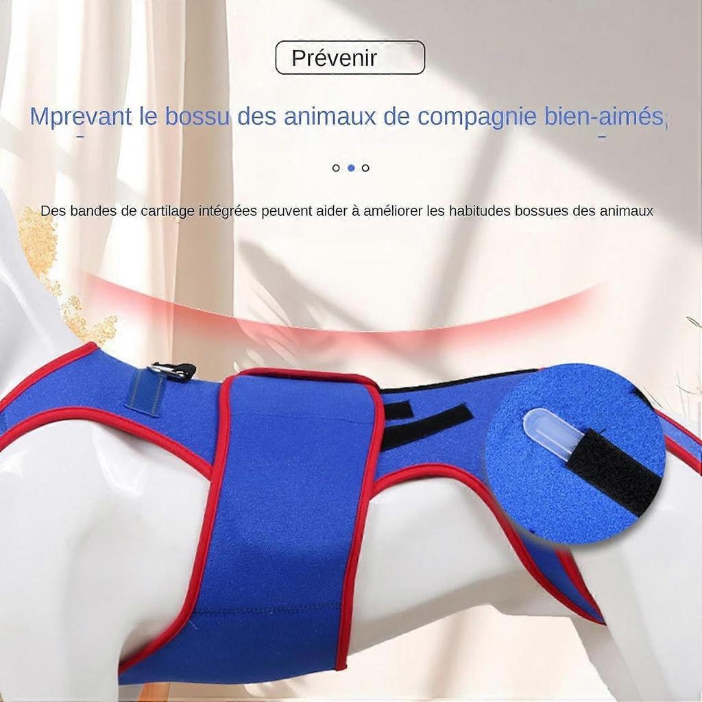 Back for Dogs - IVDD Support Harness for Rehabilitation, Adjustable Size, Durable Material, Lightweight Design