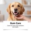 EelJoy No Brushing Pet Oral Care Spray Removes Oral Odor Supports Gum Health Convenient Gentle Pet Breath Freshener Spray 100ml
