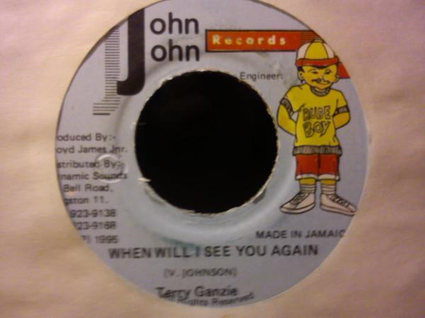 

7inch Record TERRY GANZIE When Will I See You Again NONE John John Recor 1995 Jamaica Reggae Ska Dub Used