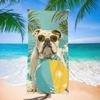Ręcznik plażowy z nadrukiem buldoga angielskiego, oversize, szybkoschnący, nieprzywierający do piasku, na plażę, basen, do pływania, podróży, miękki, chłonny, prezent