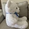 [USED] Fluffy Large White Bear 67cm Teddy Bear