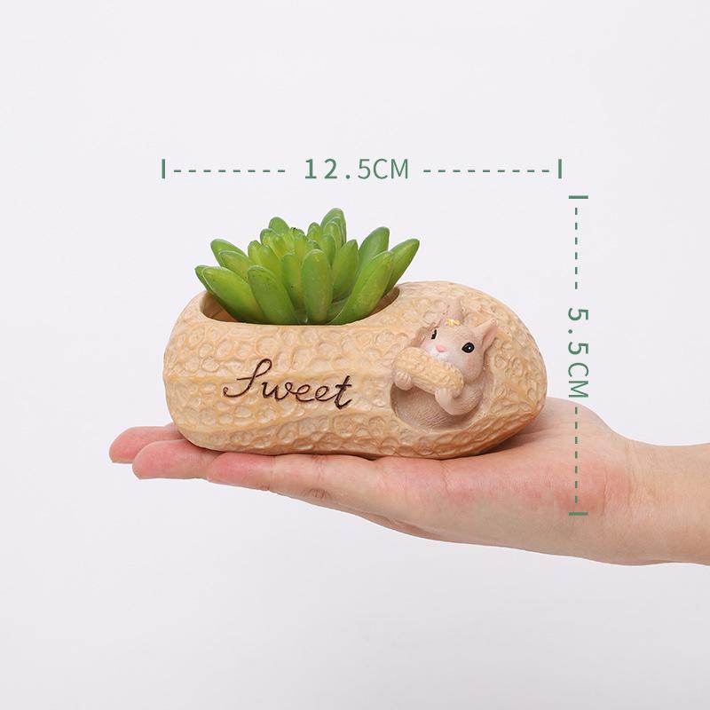 South Courtyard Cartoon Nut Garden Resin Succulent Pot – Creative Home and Balcony Decor