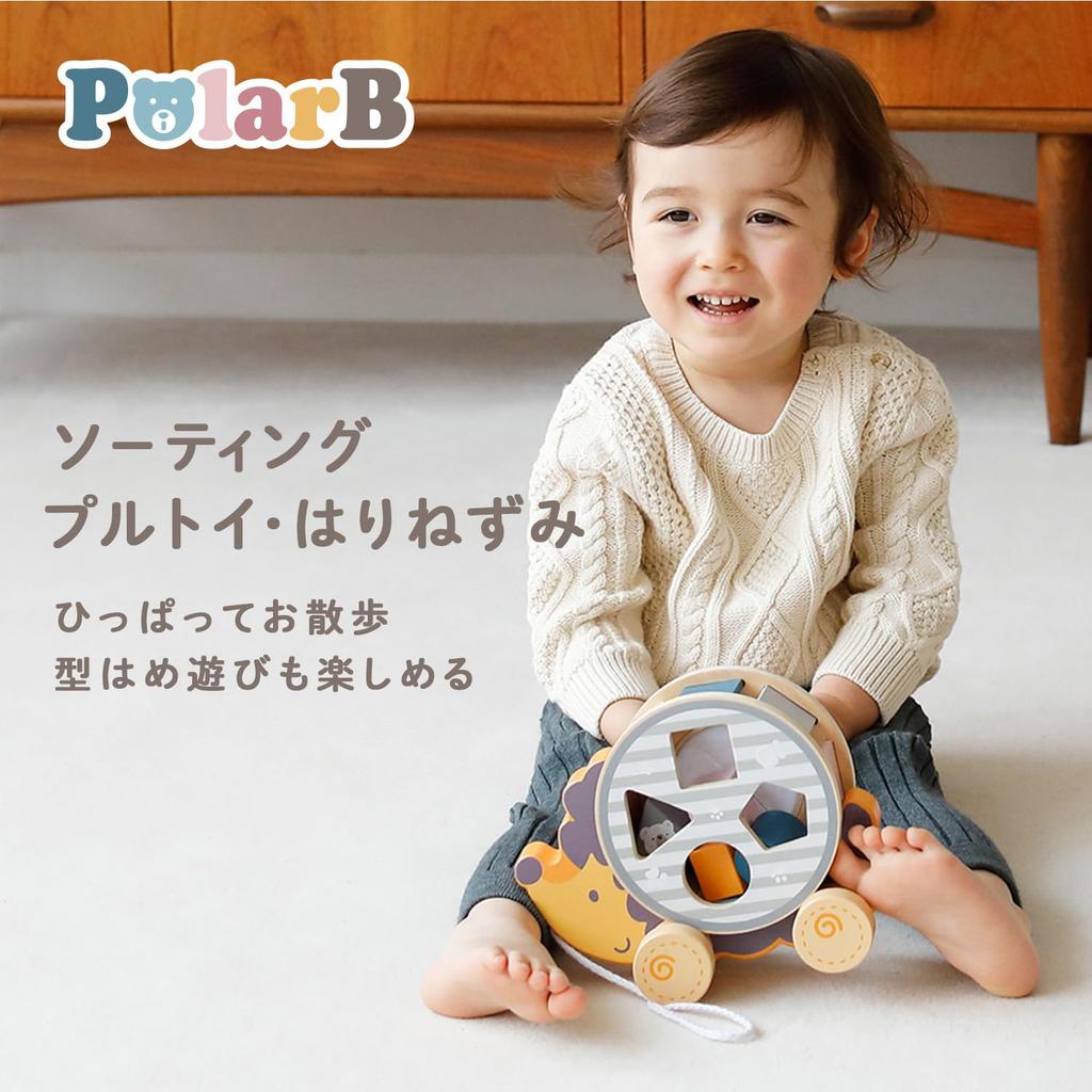 PolarB Polar B Hedgehog Sorting Pull Birthday Shape x x cm Toy, Gift, Matching, TYPR44025, 20.2 9.7 16.3 (x 1)
