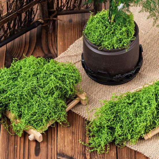 100/150/200/500/1000G Artificial Green Moss DIY Crafts Fairy Gardens Table Centerpieces Fish Tank Microlandscape Decorative Fake Moss