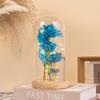 Eternal Flower Glass Cover Rose, Direct Supply with Led Lights Qixi Festival Valentine's Day Boutique Gift