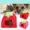 Cama Tenda Confortável e Colorida para Animais de Estimação com Design de Morango Ideal para Cães