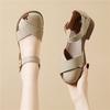 Baotou Sandals Women's Summer New Thick-soled Beach Roman Shoes Fairy with Skirt Flat-soled Retro Pig Cage Shoes