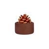 Pinecone Wood Aroma Diffuser: Portable Roly-Poly Essential Oil Diffuser with Black Walnut and Dried Flower Car Freshener