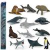 Children's Educational Learning Cards: 12 Types of Hand-Painted Dinosaur and Marine Animal Models