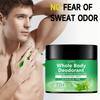 GSWP Mint Deodorant Balm for the Whole Body: Fresh Scent, 72-Hour Odor Control, Refreshing Texture. 50g/100g