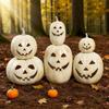 Halloween Hars Pompoen Lantaarn met LED Licht Herfst Decoraties Set voor Buiten Portiek Tuin Feestelijke Scène Opstelling Oranje Festival Cadeau
