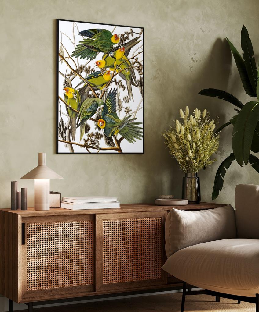 Parrot Poster Retro Vintage Posters