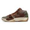 Air Jordan Zion 2 PF Voodoo Men Sneakers Brown Flax Sesame DV3769-212