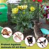 Garden Cage Animal Barrier Wire Cloche Ground Stakes Windproof Fencing for Small Plants Flowers
