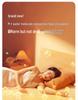 2025 Water-Heated Dual Control Electric Blanket Mat for Home