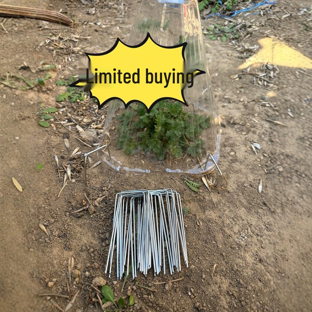 

U-Shaped Ground Stake for Plant Cover, Transparent Protection Nail, Fast Shipment, Green Plant.