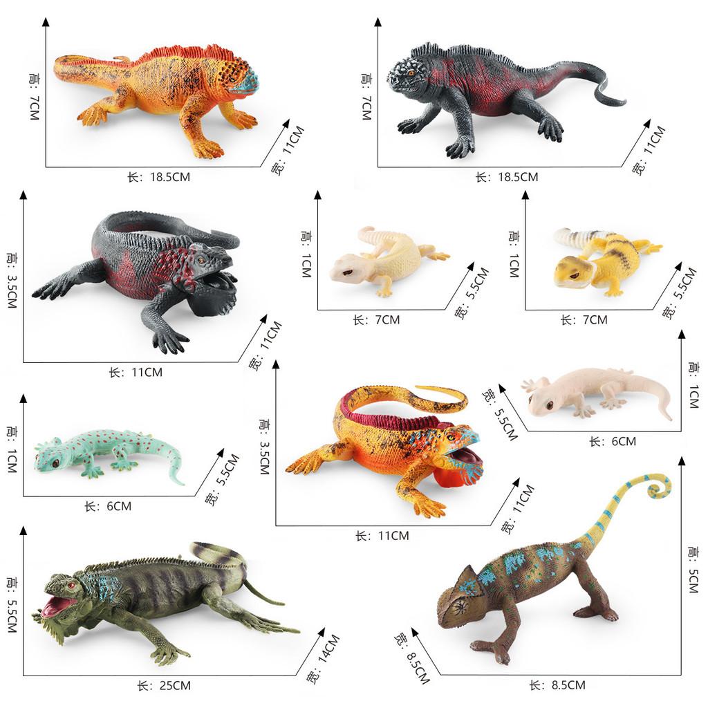 Lifelike Static Reptile Model Of Chameleon And Gecko Perfect For Home Decoration