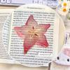 Simulation Fruit Simulation Bookmark Acrylic Note Bookmark Creative Fruit Apple Slice Bookmark