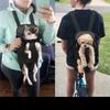 Breathable Mesh Pet Carrier Pack Lightweight Build Cat Dog Daypack Pet Backpack  Short Hike
