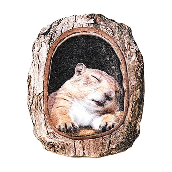 Tree Hole Animal Refrigerator Magnet Wooden Animal Fridge Magnet Home Office Kitchen Cabinet Locker Whiteboard Decoration