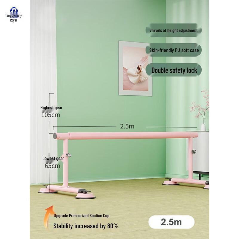 Datangyu Mobile Adjustable Dance Barre