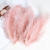 Feather decoration Color turkey Tip tail Fleece Dream catcher Material Bobo ball Gift box Filler Shooting prop